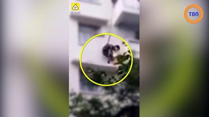 Un enfant pendu dans le vide pour récupérer un chat sur une corniche