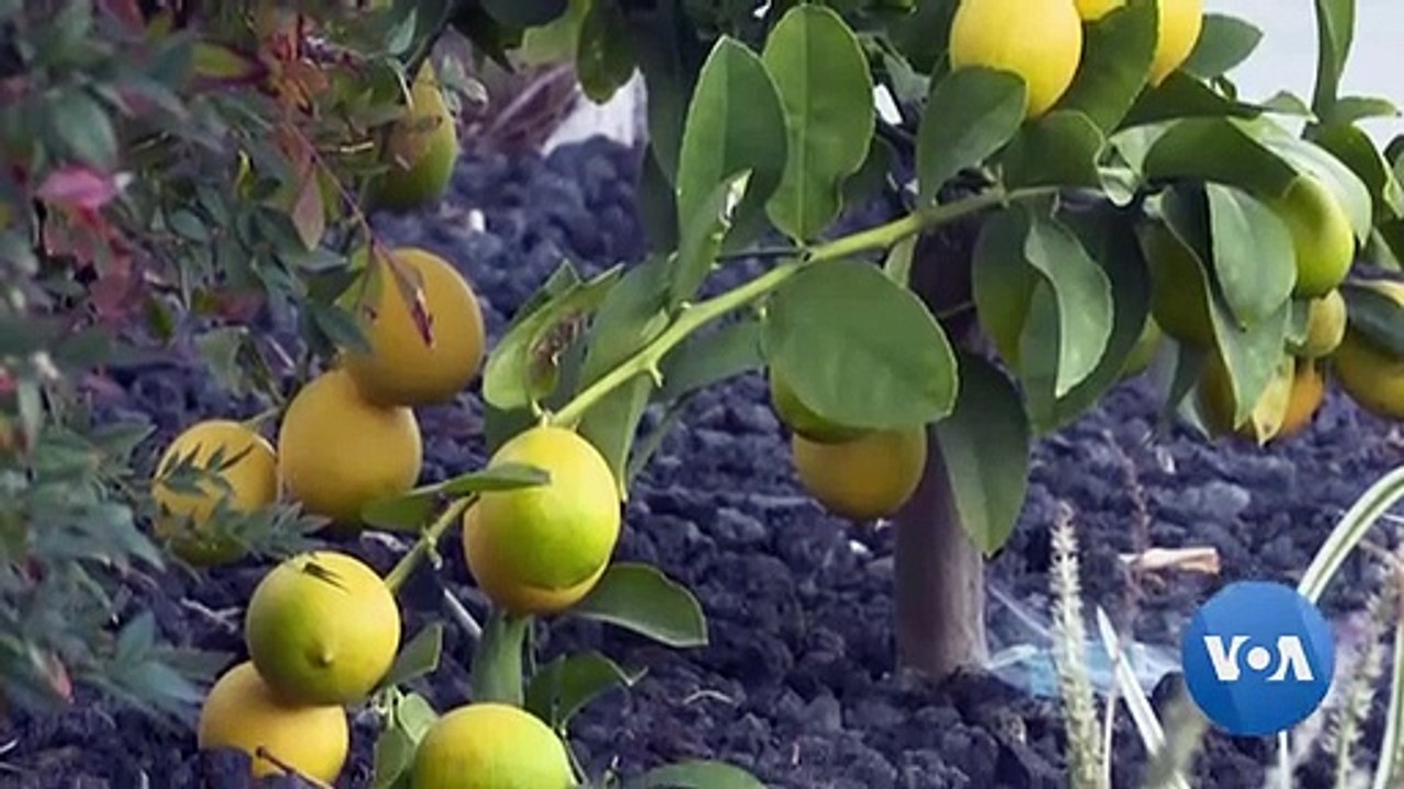 New Phone With No Internet Access Protects Kids from the Dangers of Smartphones