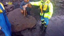 Dramatic Footage Shows Rescue of Dog That Fell 65Ft Off A Cliff