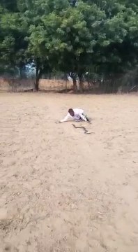 सांप पकड़ने का ये देसी तरीका आपने पहले कभी नही देखा होगा | ₹30 के पव्वे के आगे सब फेल |