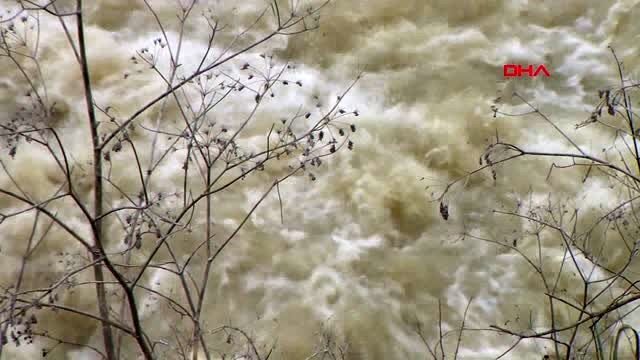 Mersin bakan yardımcısı özkaldı, tarsus'ta hasar gören tarım arazilerini inceledi