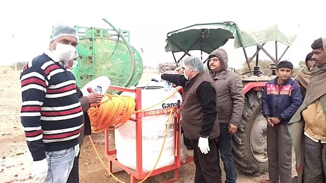 Crops worth millions of dollars destroyed by plague of locusts in northern India