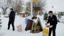 Şuhut Belediyesi sokak hayvanlarını unutmadı