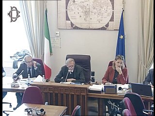 Roma - Libia, audizione capo missione Unhcr (08.01.20)