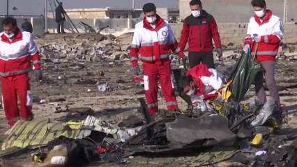 이란에서 여객기 추락...176명 전원 사망 / YTN