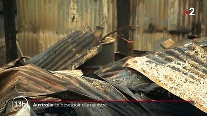 "La chose la plus effrayante c'était le son" : le désespoir d'un sinistré des incendies en Australie