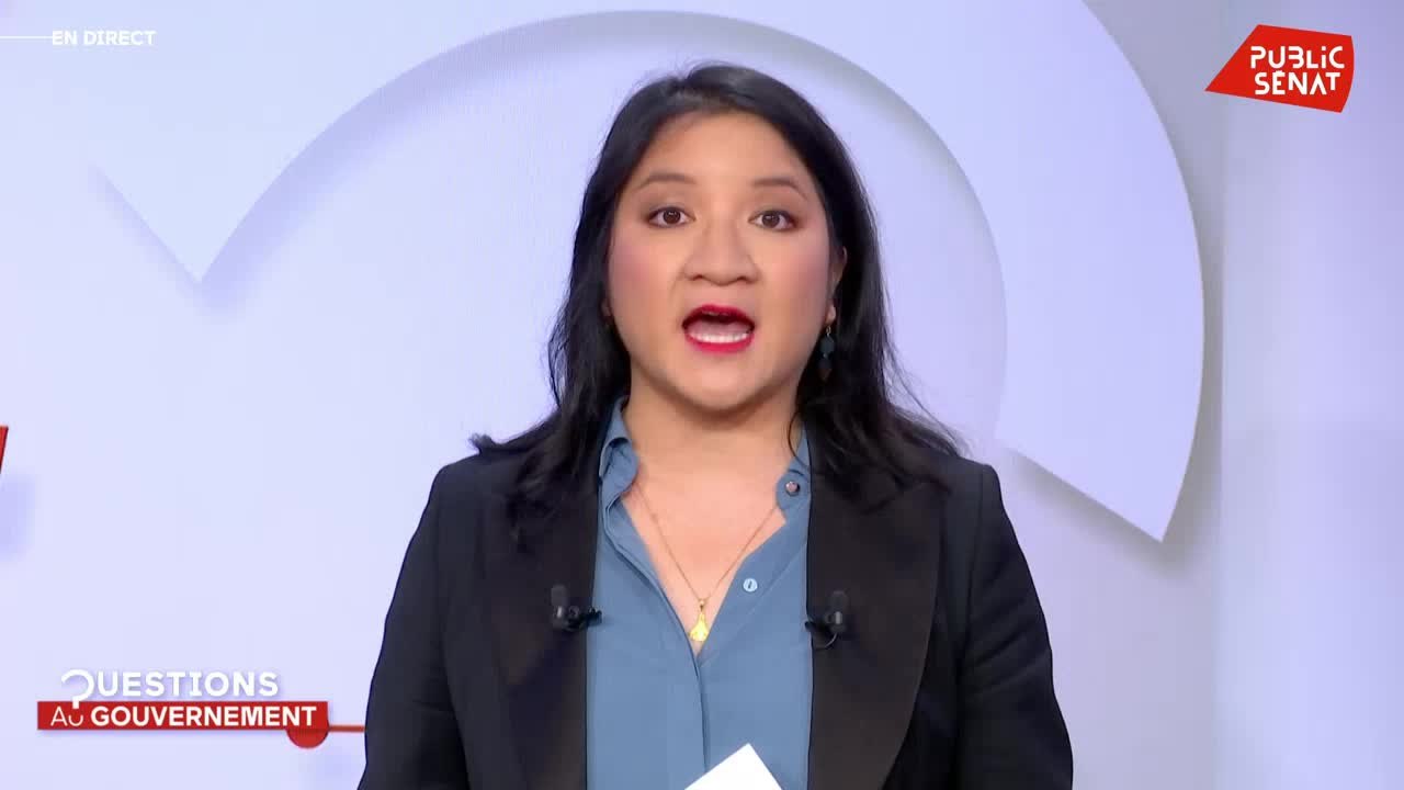 Questions au Gouvernement (08/01/2020) Vidéo Dailymotion