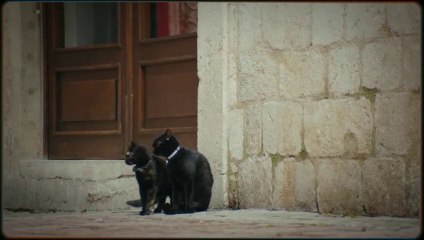 Ben Seni Çok Sevdim
