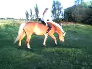 FlEur Et mOi dans lE prEs