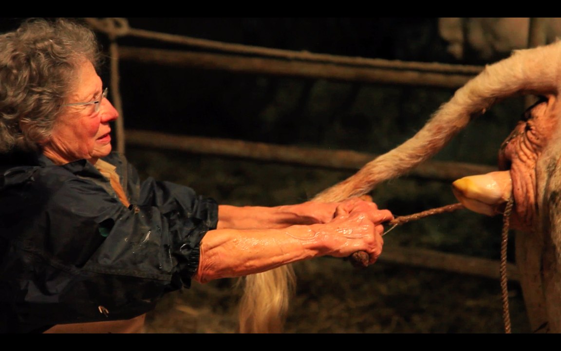 La ferme