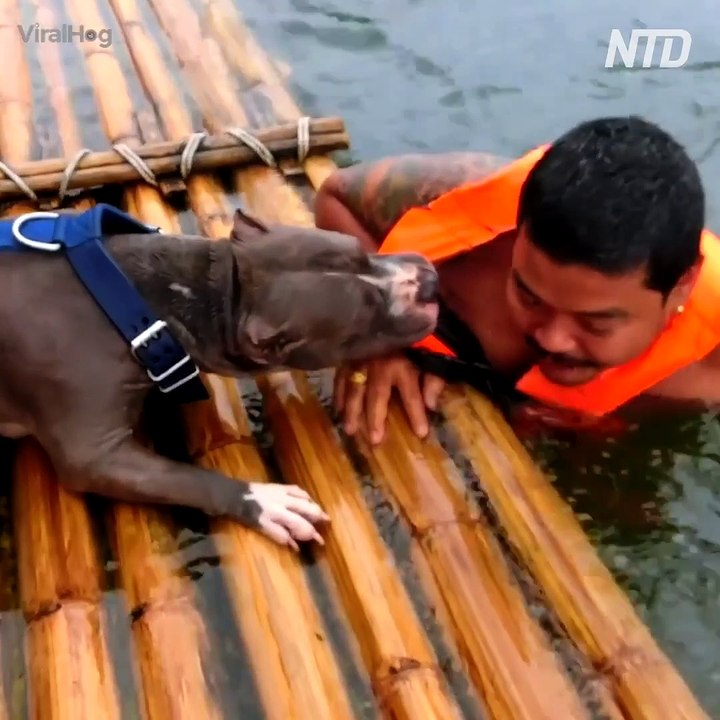 Mens Best Friends