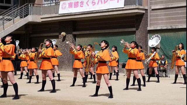 Kyoto Tachibana SHS Band Parade 4K shooting 2019 18th Kyoto Sakura Paree Sing Sing Sing is the best
