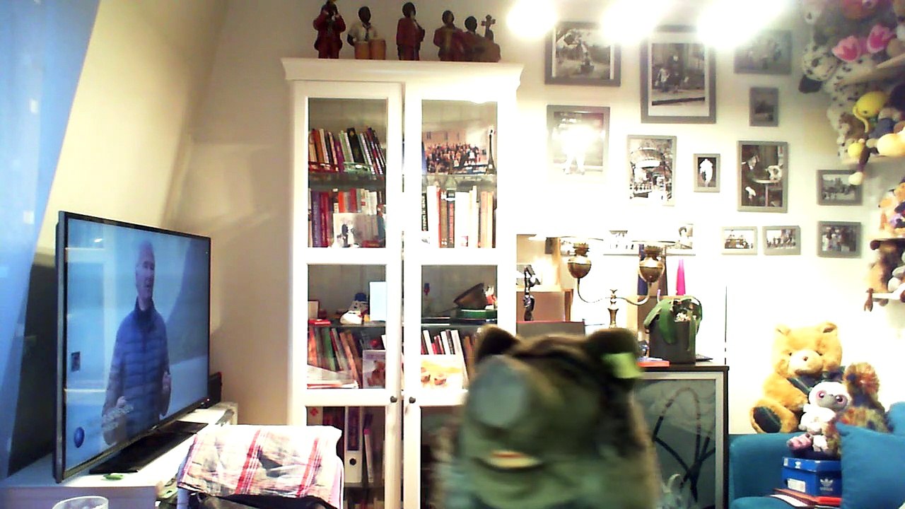 Wiwi kameloualise "moon bird" du Roger Webb Sound