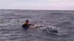 Il se jette à l'eau pour aider une baleine piégée dans un filet
