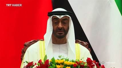 Birleşik Arap Emirlikleri'nin yabancı paralı askerleri