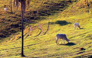 beautiful village life
