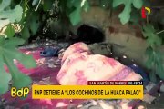 SMP: así capturaron a los peligrosos ‘Cochinos de la Huaca Palao’
