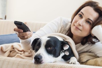 This Website Tells You If a Dog Dies in a Book, TV Show, or a Movie