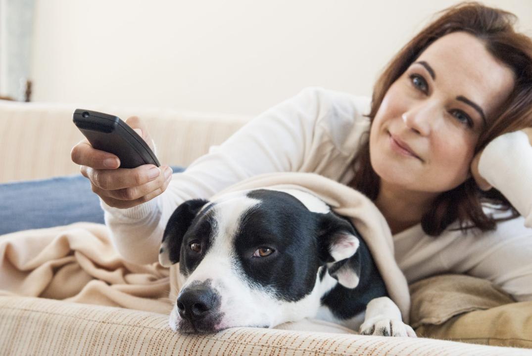 This Website Tells You If a Dog Dies in a Book,...