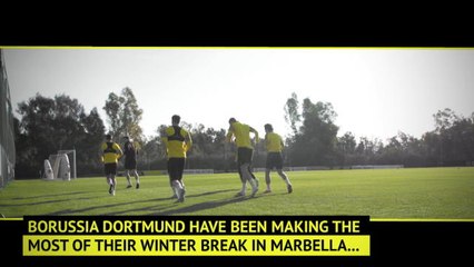 Haaland put through paces at Dortmund camp
