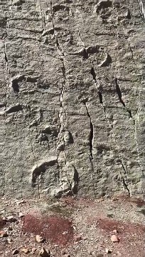 DINOSAUR FOOTPRINTS FOUND IN BOLIVIA!