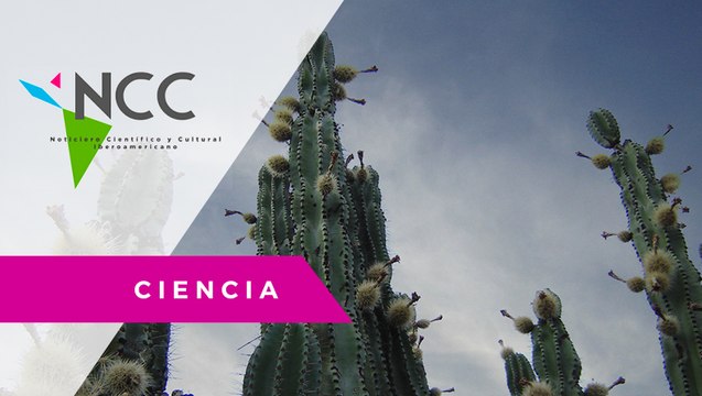 Habitantes de un pequeño pueblo aprenden agroecología para mejorar sus cultivos