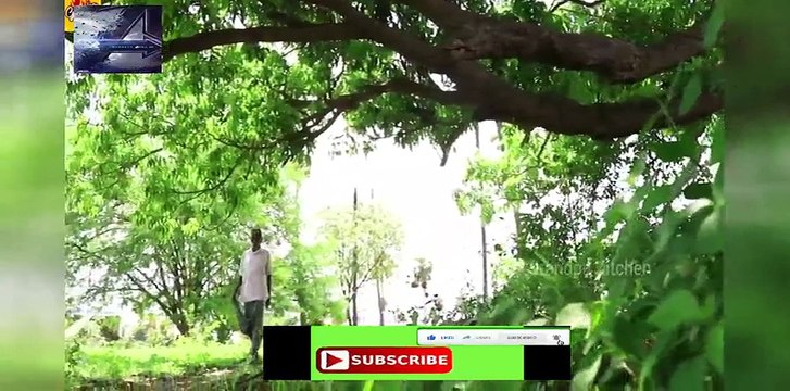 Chicken Samosa Recipe | Famous Street Food Samosa With Chicken & Sweet Corn | grandpa Kitchen