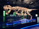 MEET VICTORIA! The world's largest traveling t rex is here in Arizona - ABC15 Digital