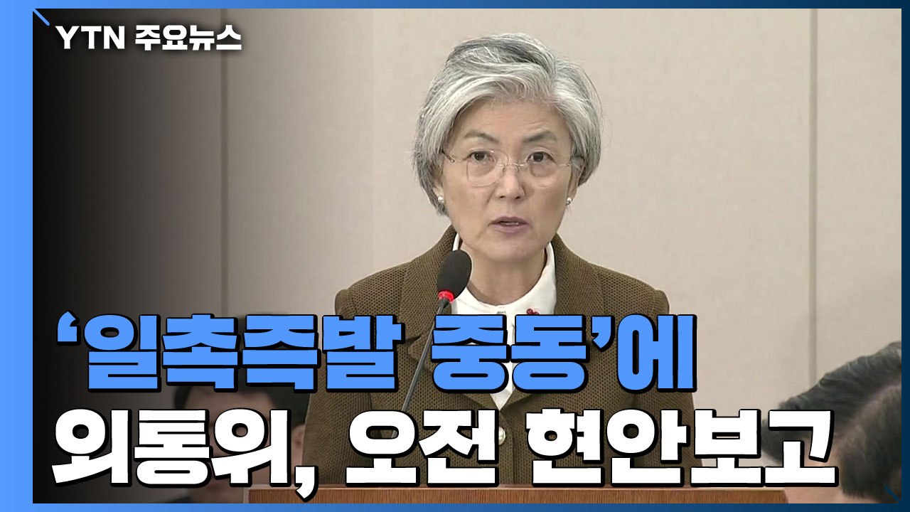 외통위, 강경화 장관 현안보고...오후 국회 본회의 / YTN