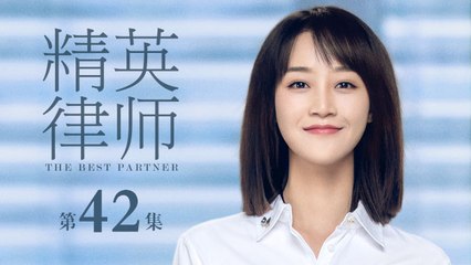 精英律師 42 | The Best Partner 42（靳東、藍盈瑩、孫淳等主演）