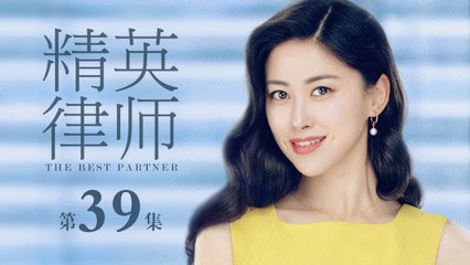 精英律師 39  | The Best Partner 39（靳東、藍盈瑩、孫淳等主演）