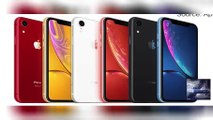 Which iPhone Should You Choose in 2020? - Apple’s latest iPhone lineup can be confusing wi...
