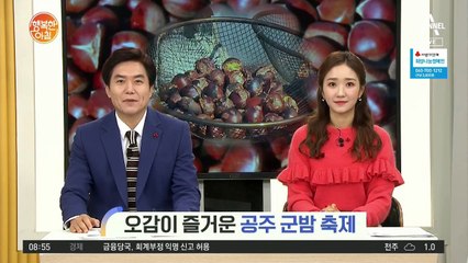 [네트워크 투데이] 오감이 즐거운 공주 군밤 축제