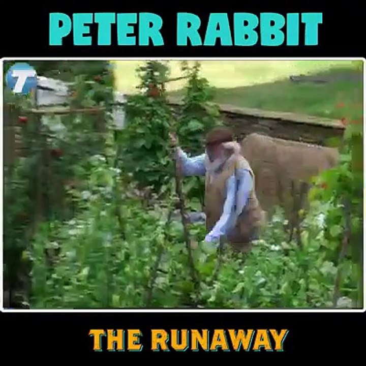Old_McGregor_Death_Scene_Peter_Rabbit_2:_