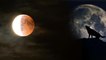 #LunarEclipse/Chandra Grahan 2020 : Why January 10 Lunar Eclipse Is Called Wolf Moon Eclipse