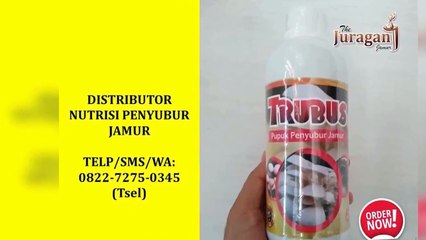 DISKON!! 082272750354(Tsel) Pabrik obat penyubur jamur tiram bojonegoro