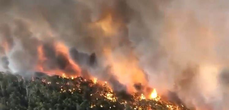 ஆஸ்திரேலியா காட்டு தீ ஹெலிகாப்டர் மூலம் எடுக்கப்பட்ட வீடியோ வெளியீடு | Australia fires map: Where are the fires in Australia now