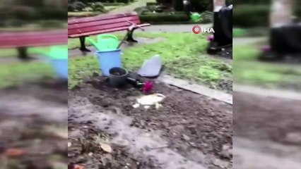- Almanya'da Müslümanlara ait mezarlara çirkin saldırı