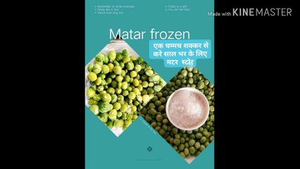 ,   सिर्फ ,ओर ,सिर्फ  एक चम्मच  शक्कार   ओर साल भर  मटर करे  स्टोर