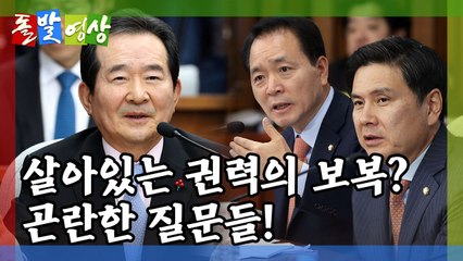 [돌발영상] 좋다 말았네… / YTN