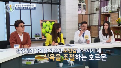 날씬하고 건강한 몸을 위한 ‘장내 숲’