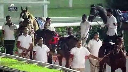 인터넷경마사이트わ( RaCc88。CoM )わ검빛닷컴 경마정보