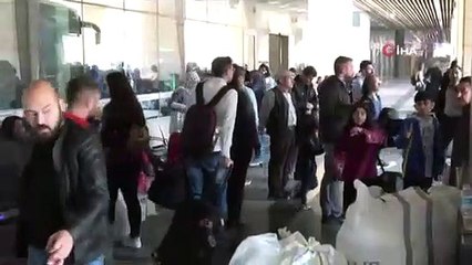 Evcil hayvanlar için seyahat düzenlemesi