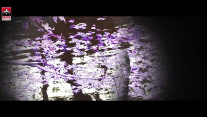 Χριστίνα Αναγνωστοπούλου & Χρήστος Δάντης - Τρυφερά Και Εύθραυστα (Official Music Video)