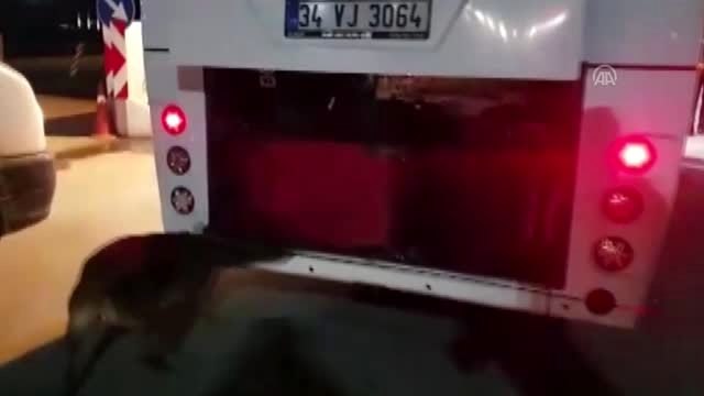 Otobüste kaçak elektronik sigara kartuşu ve sigara ele geçirildi