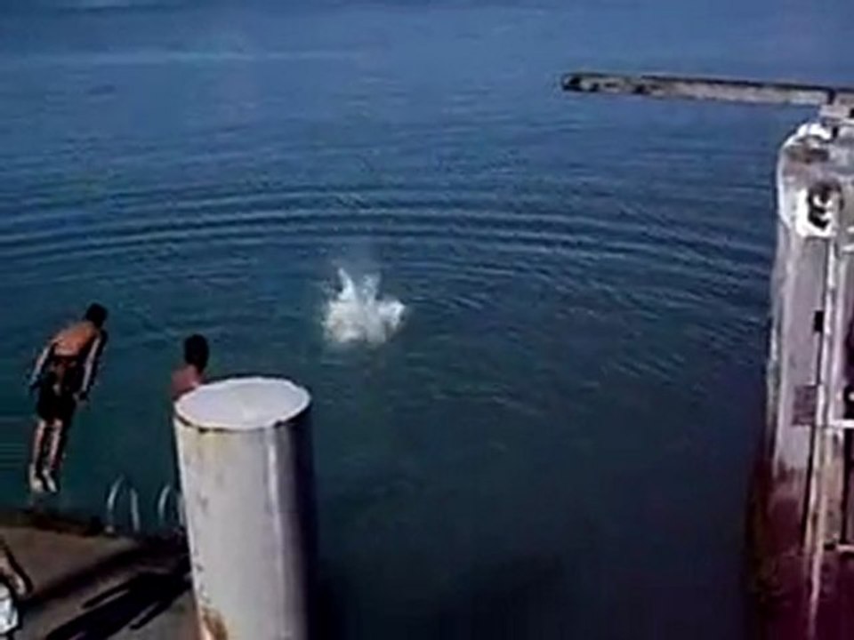 Nico le suisse @ Wellington