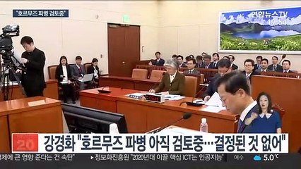 강경화 "호르무즈 파병, 美와 입장 같을 수 없어"