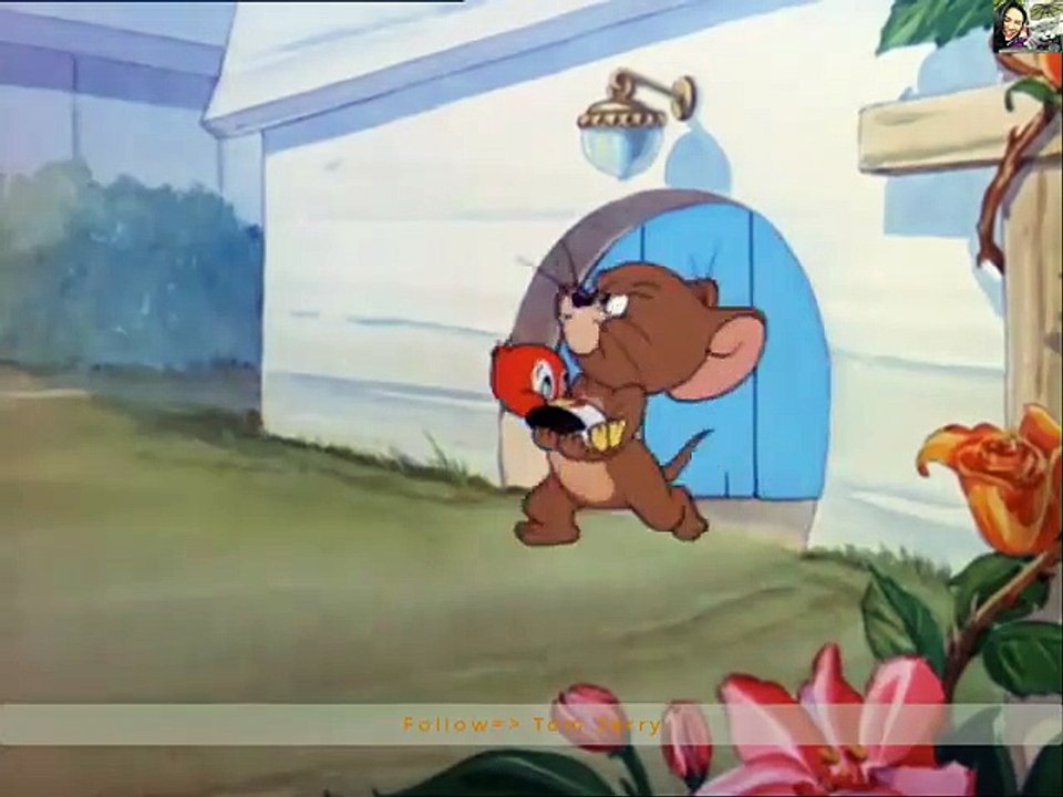 Tom and Jerry part 3