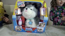 Pelúcia Puppy Brinquedos - Little Live Pets