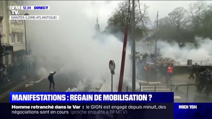 Descargar video: Des gaz lacrymogènes ont été tirées à Nantes lors de la manifestation contre la réforme des retraites